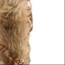 Şarap Kırmızısı Deri Kesikli G - Embroidery Yes incelemesi ve fiyatı